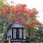 Kaluku Gili Resort