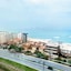 Ibis Macae
