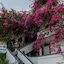 Fevro Hotel