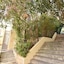 Villa Olivia