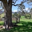 The Laurels B&B Kangaroo Valley
