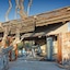 Tuningi Safari Lodge