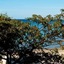 Sea Sight Studios
