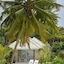 Kandima Maldives