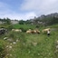 Posada El Mirador