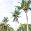 Shell Villa Apartel Resort