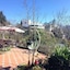 Sapa Garden Resort