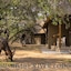 Bushbaby River Lodge