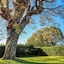 Quinta Das Malvas