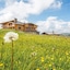 Hotel Goldknopf
