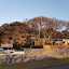 Surf Motel