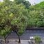 Nta Hotel - Serviced Apartments