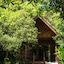 Our Jungle House