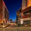 Ibis Torreon