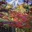 Fujisan Onsen Hotel Kaneyamaen