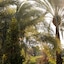 Hotel Boutique Hort De Nal