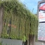 Front One Resort Magelang