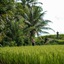 Hideaway Villas Bali – Ubud By Kanaan Hospitality