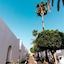 Las Casitas De Corralejo