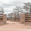 Little Africa Safari Lodge