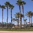 Kissimmee