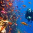 Gran barrera de coral