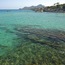 Playa de Son Moll