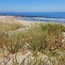 Playa Arda