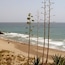Playa Casa Fuerte