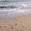 Playa La Llosa
