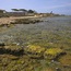 Cala Gamba 