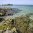 Playa Ciutat Jardí