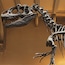 Museo de Historia Natural de Londres
