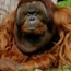Zoo Berlin