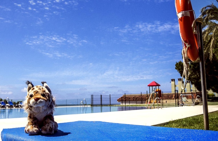 Piscinas - 1