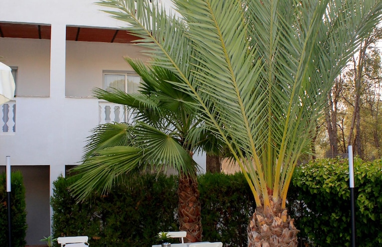 Piscinas - 2
