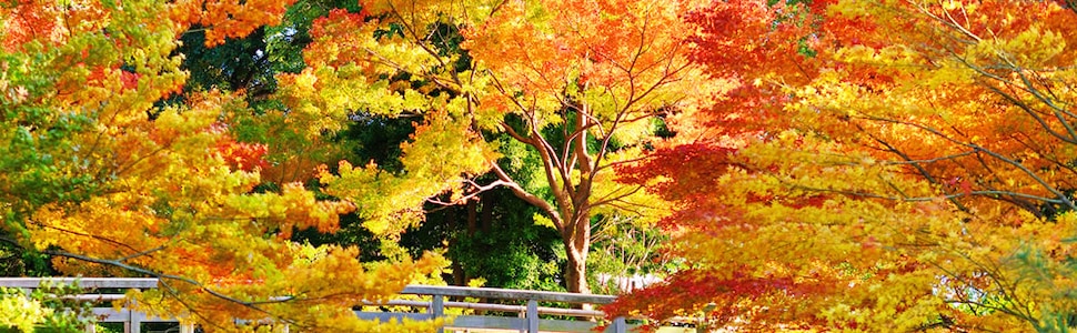 Itinerario del Crucero Japón, Corea Del Sur - Azamara