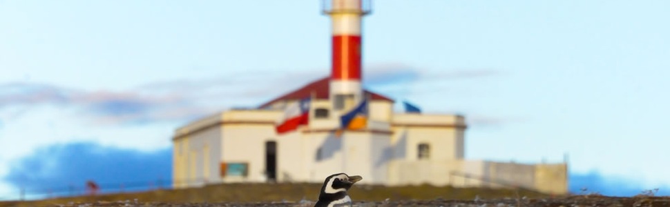 Itinerario del Crucero La Ruta de Darwin desde Punta Arenas - Australis
