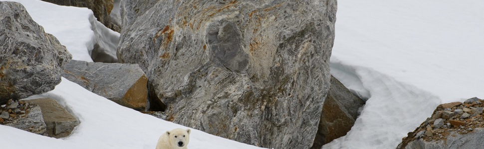 Itinerario del Crucero LE BOREAL desde Longyearbyen, Spitsbergen - Ponant