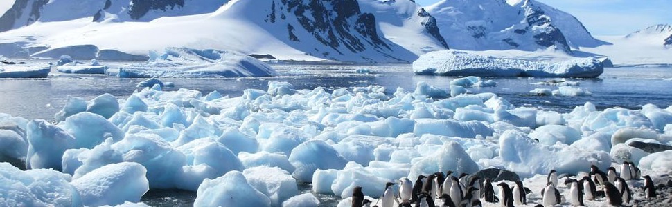 Itinerario del Crucero Argentina - Ponant