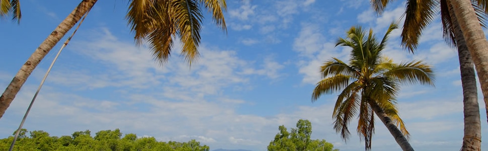 Itinerario del Crucero Seychelles, Madagascar, Mauricio TI - AIDA