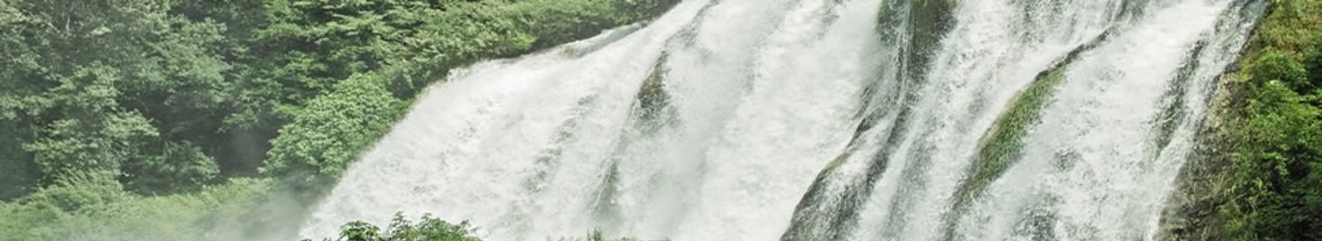Terni